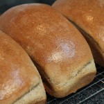 best bread recipe ever